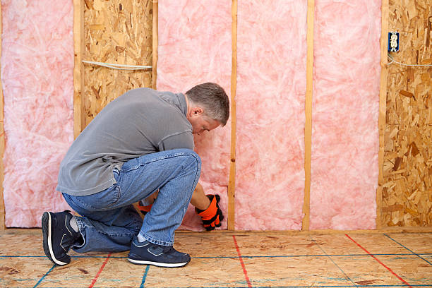 Best Eco-Friendly Insulation in Ephraim, UT