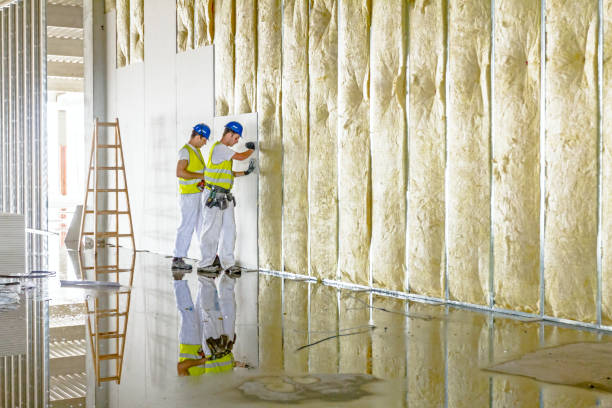Best DIY Insulation Kits and Guidance in Ephraim, UT